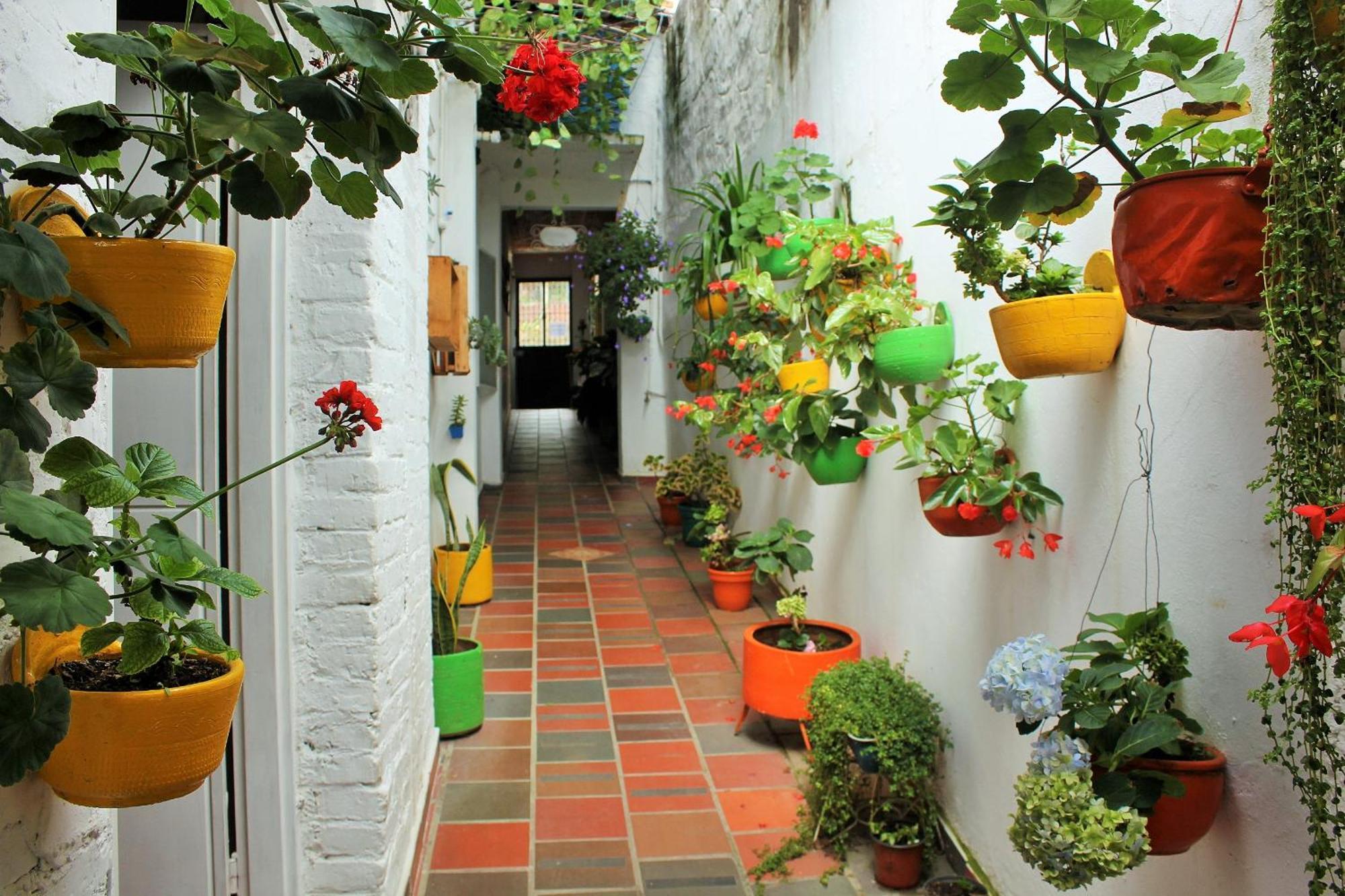 Hospedaje Los Capuchinos Socorro Esterno foto